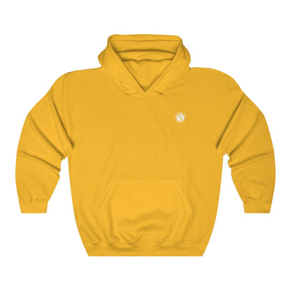Southern Salt Unisex Heavy Blend Hoodie - Southern Salt Coastal Apparel